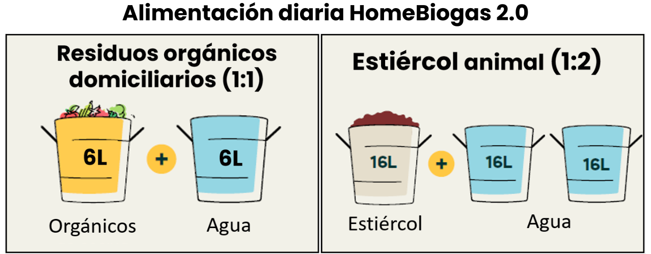 Alimentación diaria HBG2.0