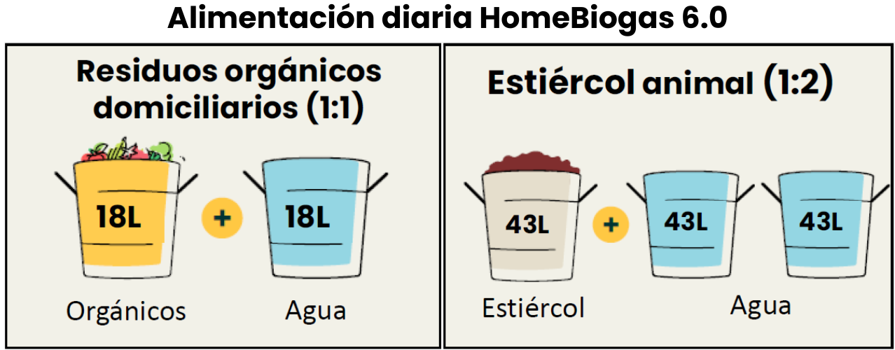 Alimentación biodigestor HomeBiogas 6.0