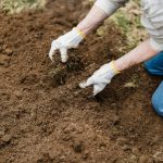 Suelo orgánico biofertilizante