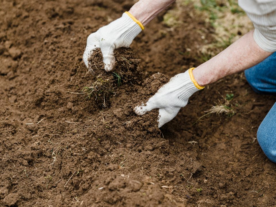 Suelo orgánico biofertilizante