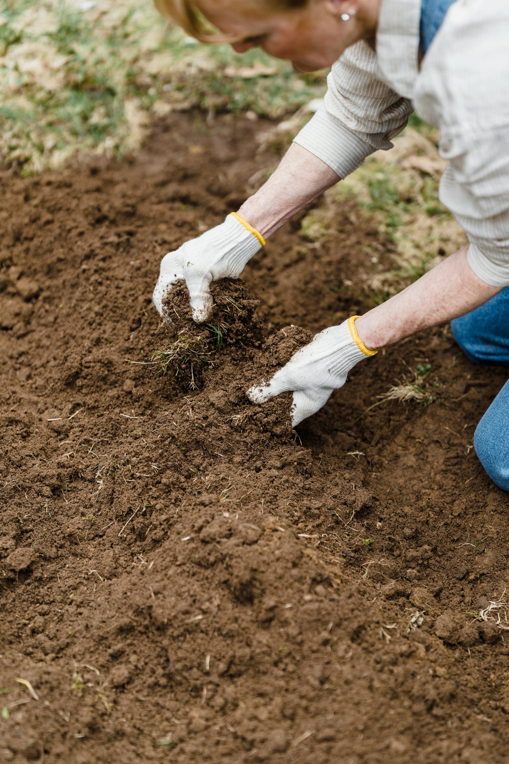 Suelo orgánico biofertilizante